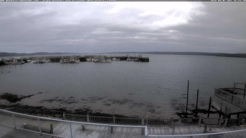 Digby Harbour