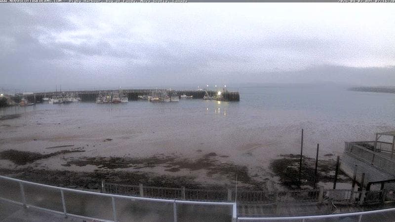 Digby Harbour