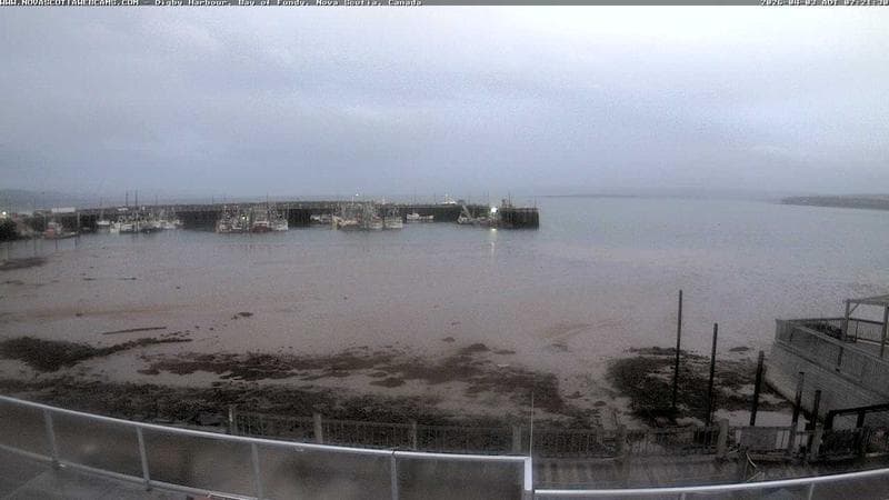 Digby Harbour