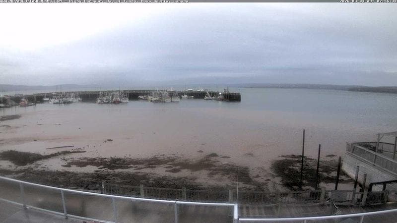 Digby Harbour