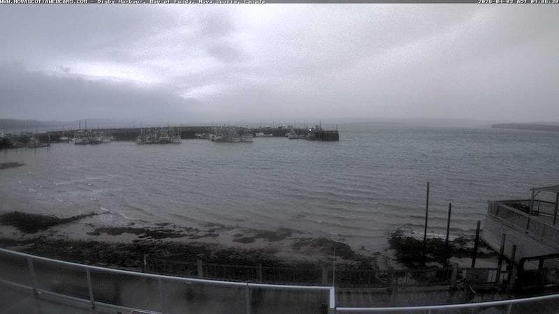 Digby Harbour