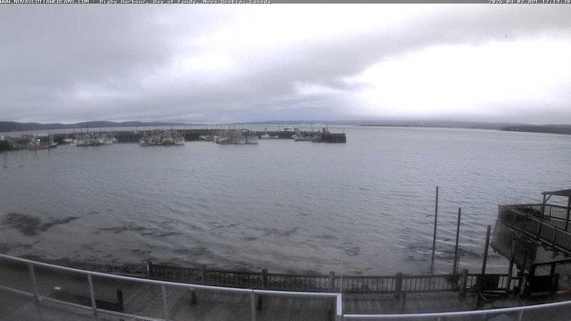 Digby Harbour