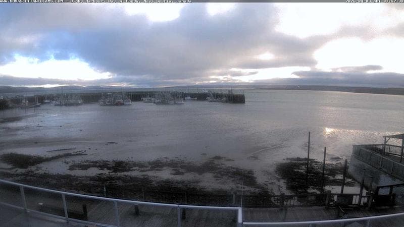 Digby Harbour