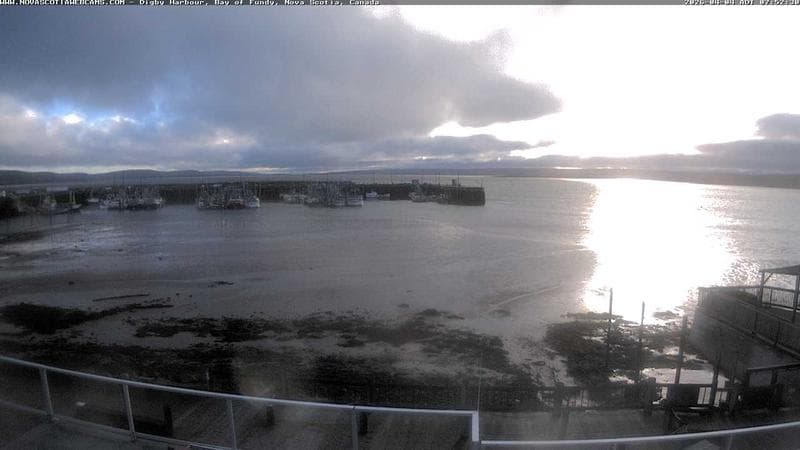 Digby Harbour