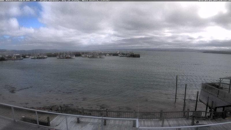 Digby Harbour