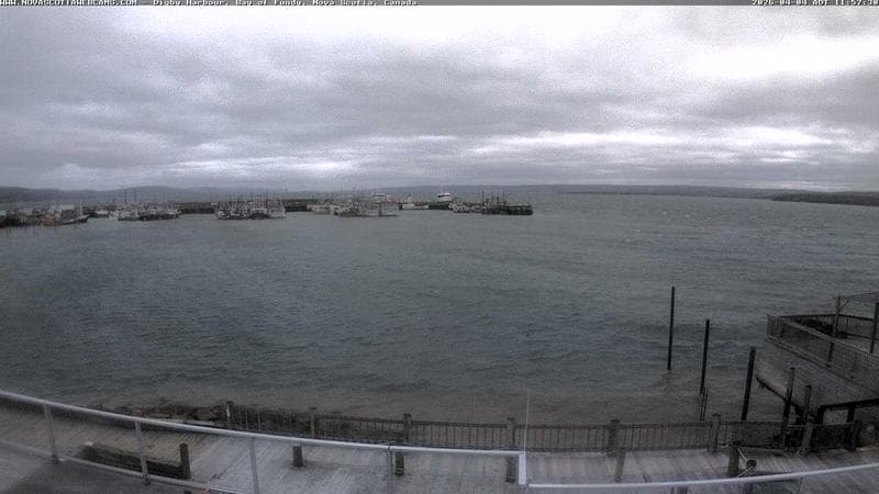 Digby Harbour