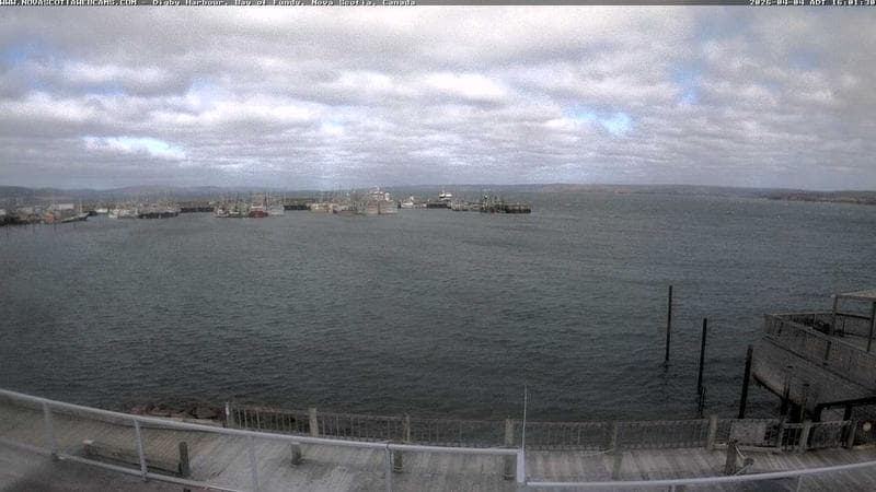 Digby Harbour