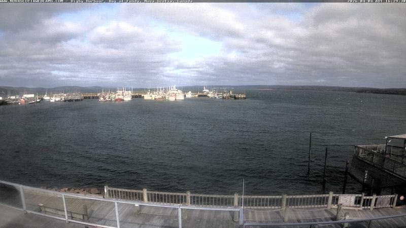 Digby Harbour