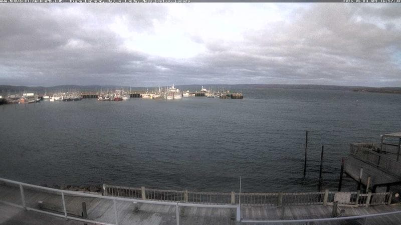 Digby Harbour