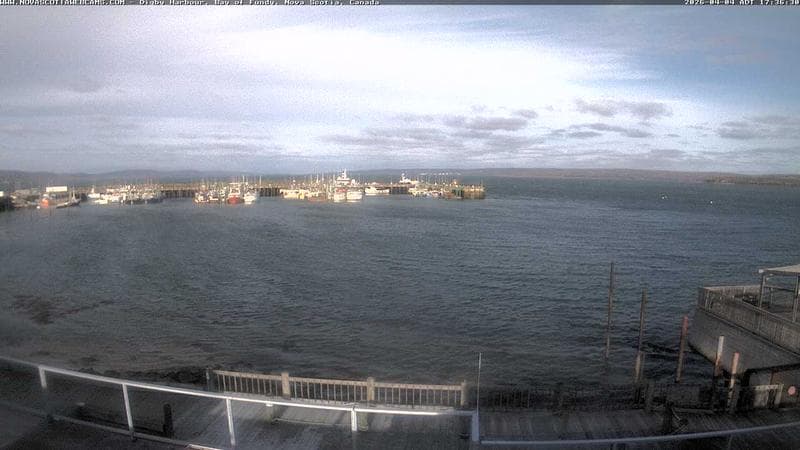 Digby Harbour