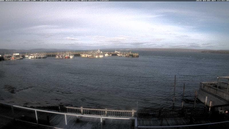 Digby Harbour
