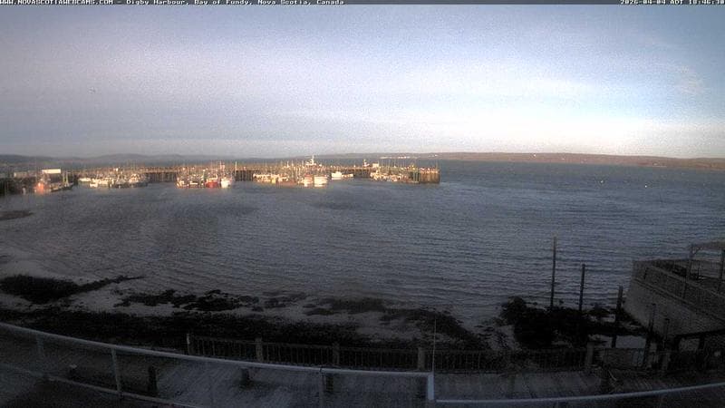 Digby Harbour