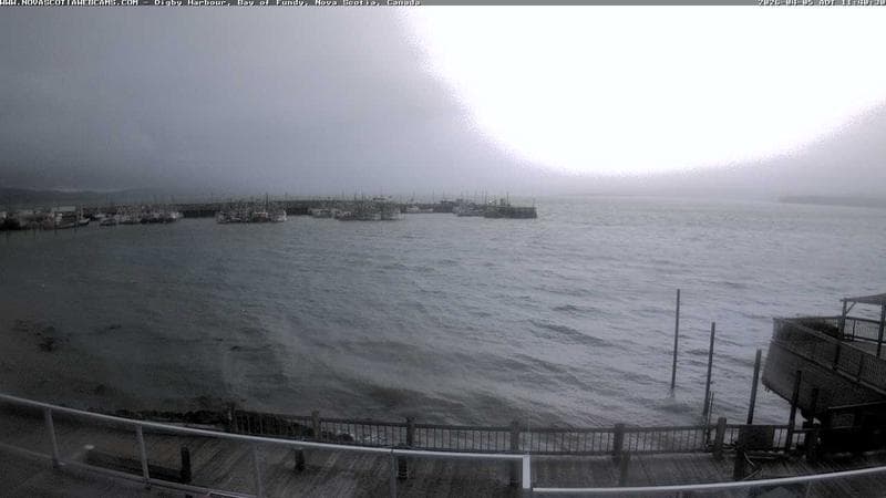 Digby Harbour