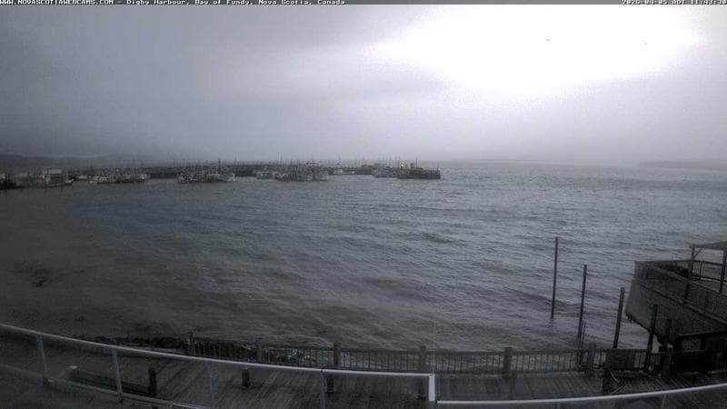 Digby Harbour