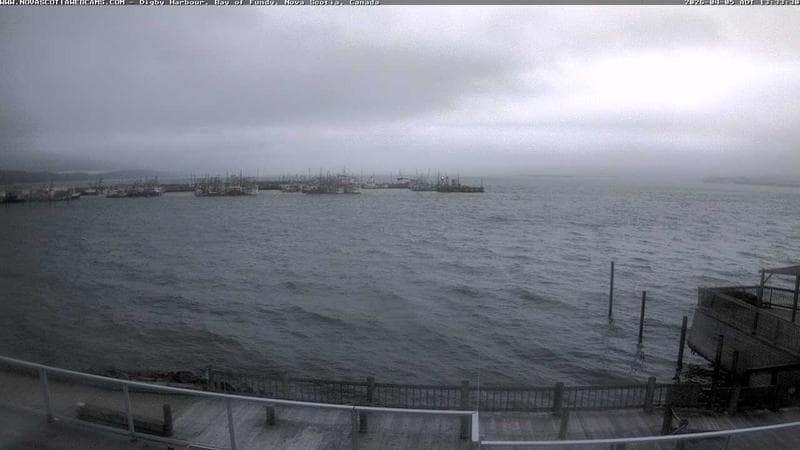 Digby Harbour