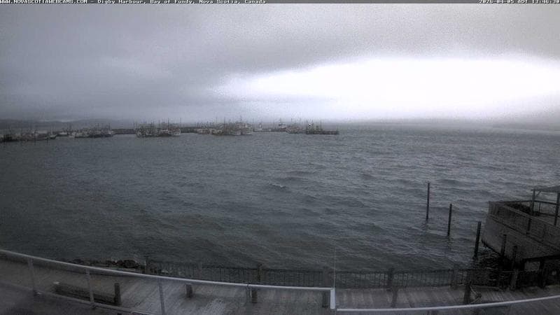 Digby Harbour