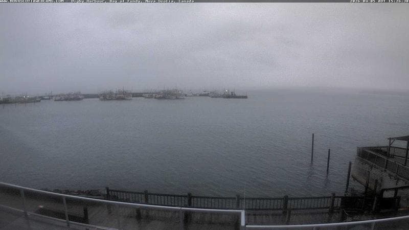 Digby Harbour