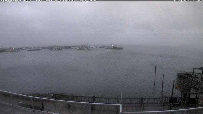 Digby Harbour
