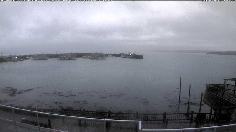 Digby Harbour