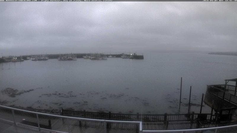 Digby Harbour