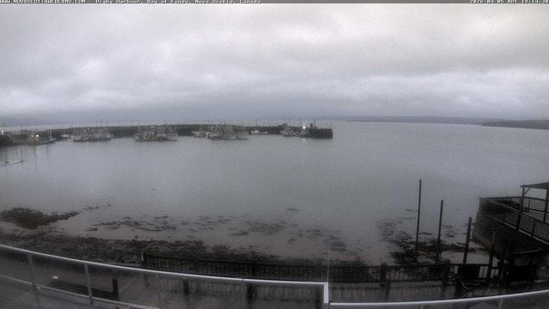 Digby Harbour