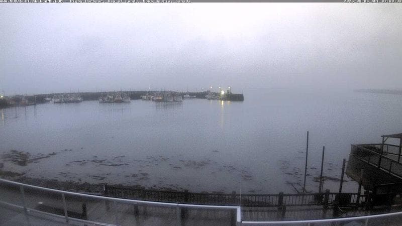 Digby Harbour