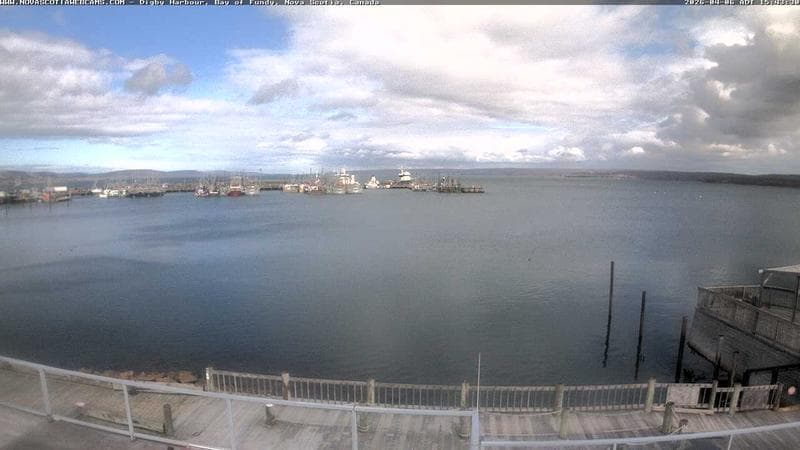 Digby Harbour
