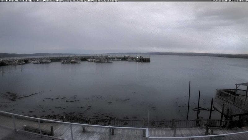 Digby Harbour