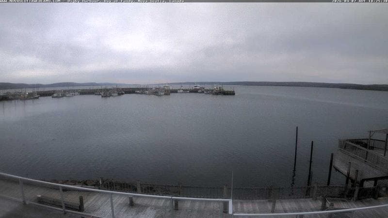 Digby Harbour
