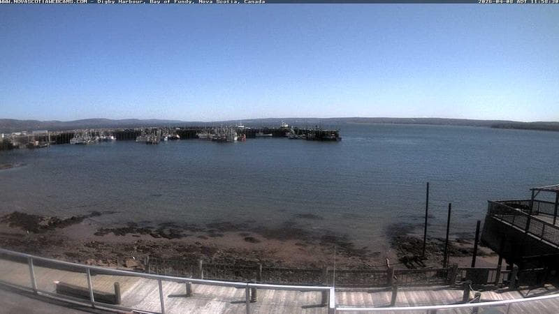Digby Harbour