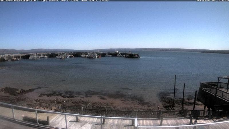 Digby Harbour