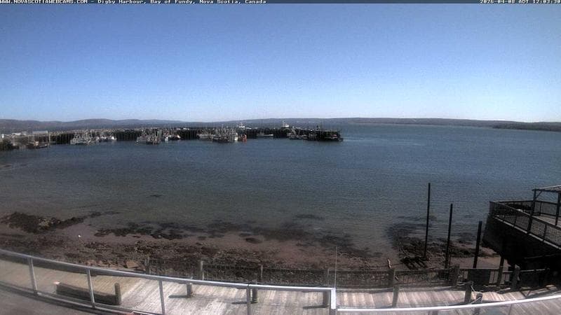 Digby Harbour