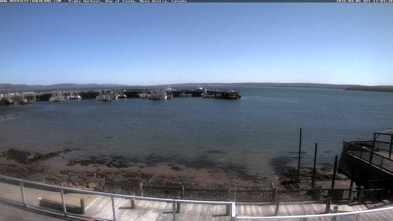 Digby Harbour