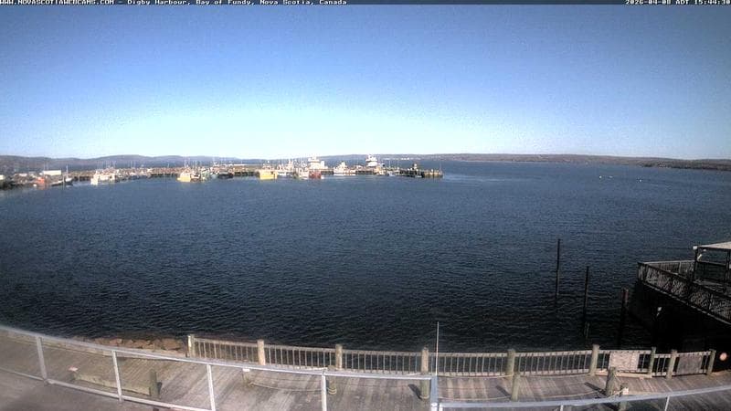 Digby Harbour