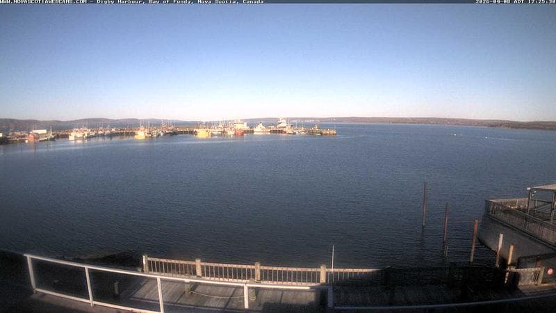 Digby Harbour