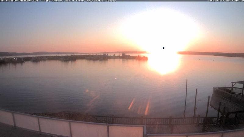 Digby Harbour