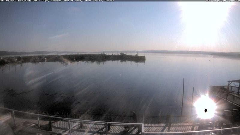 Digby Harbour