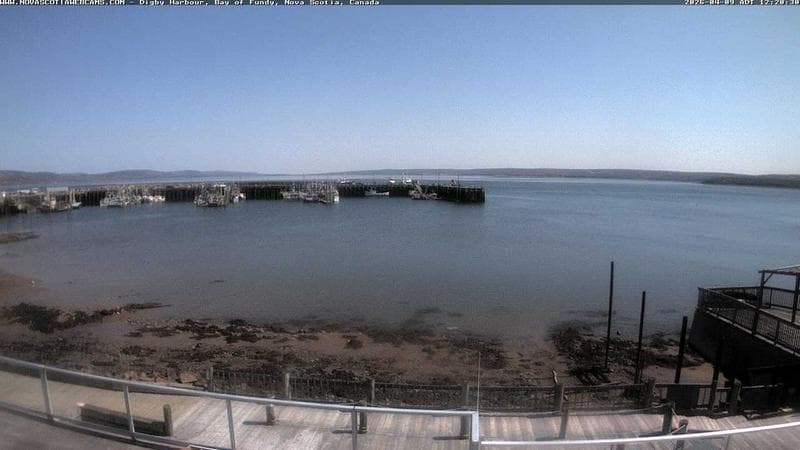 Digby Harbour