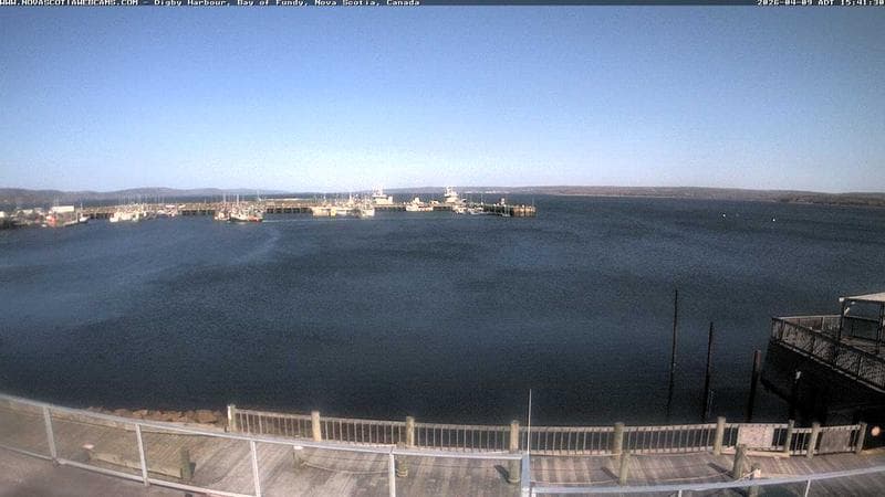 Digby Harbour
