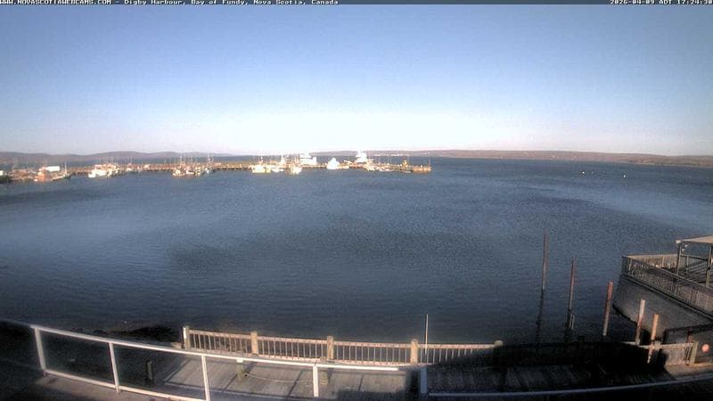 Digby Harbour