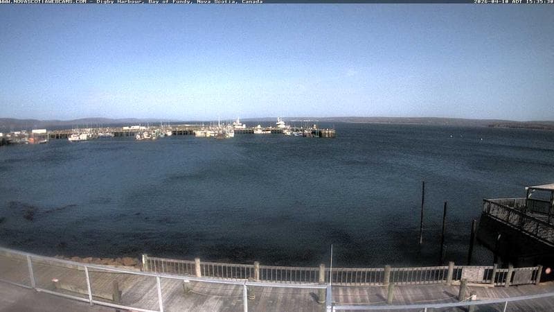 Digby Harbour