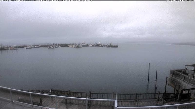 Digby Harbour