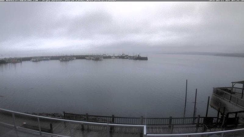 Digby Harbour