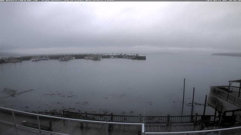 Digby Harbour