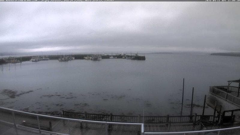 Digby Harbour