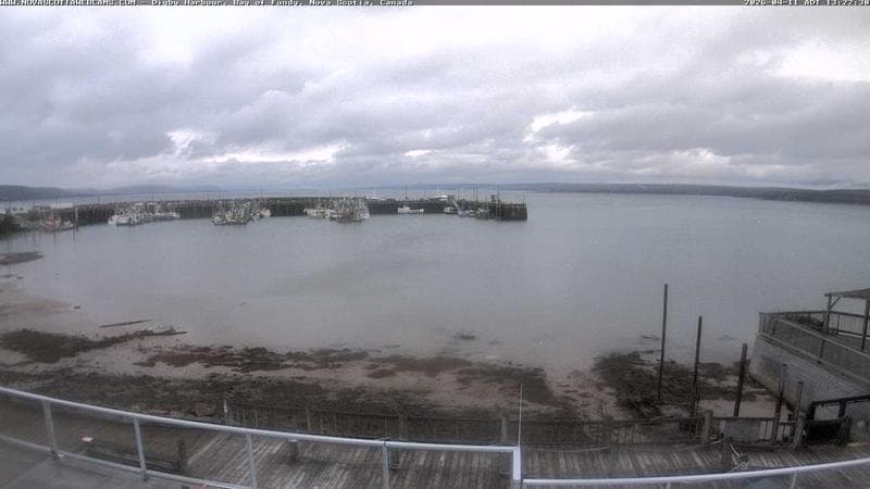 Digby Harbour