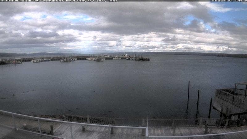 Digby Harbour