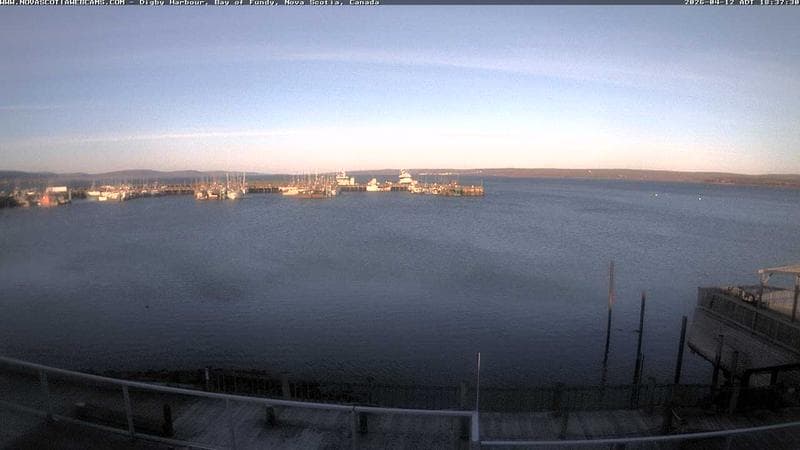 Digby Harbour
