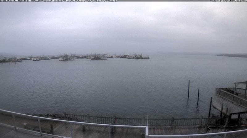 Digby Harbour