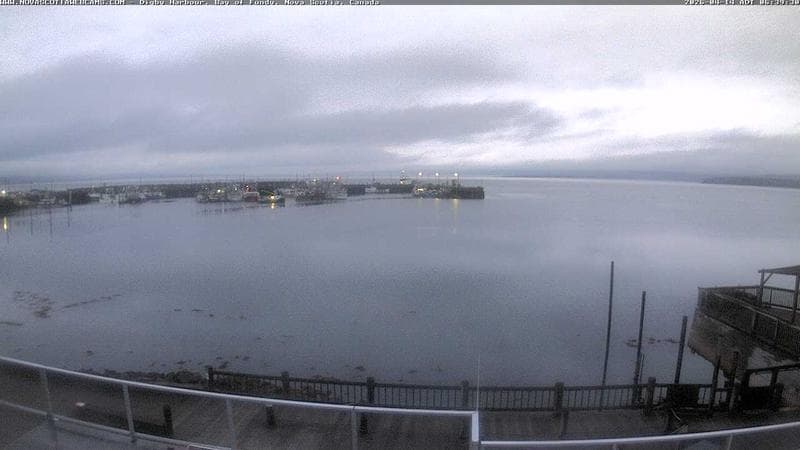Digby Harbour